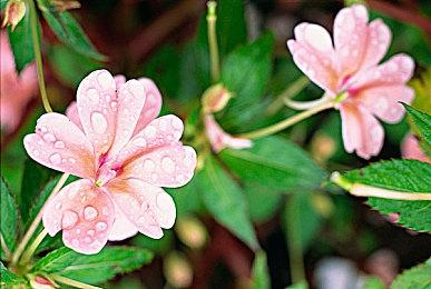 《怪物猎人 荒野》PC配置公布 最低配置GTX1660S等